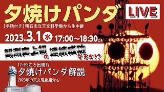 夕焼けパンダ生中継