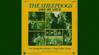 Music video thumbnail preview for The Sheepdogs - I'm Gonna Be Myself / Esprit Des Corps (Live at Lee's) - Visualizer by The Sheepdogs