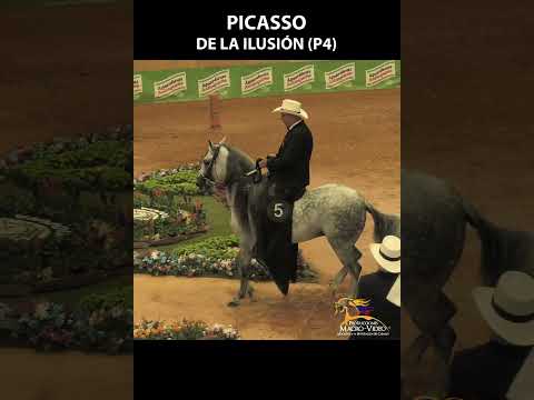 PICASSO DE LA ILUSION P4 FERIA DE LAS FLORES 2023 #shortsvideo #pasofinocolombiano #pasofino