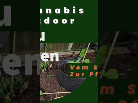 Vom Samen bis zur Pflanze Intro ⚠️👽