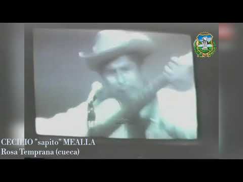 CECILIO "sapito" MEALLA Rosa Temprana (cueca)