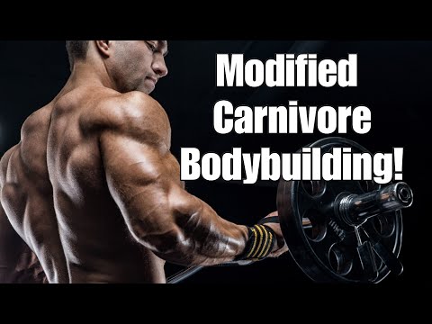 Modified Carnivore Bodybuilding! (Potentially the BEST Bodybuilding Diet!?)