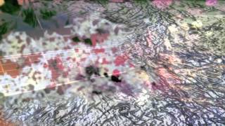 J Fernandez - Cosmic Was