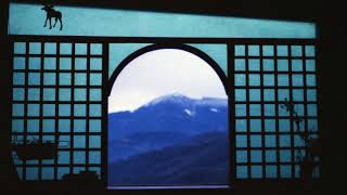 Visible Cloaks - Terrazzo (Ft. Motion Graphics)