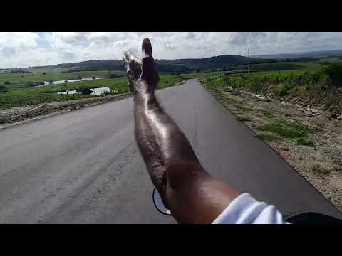 Mostrando o asfalto na estrada de japoatã Sergipe