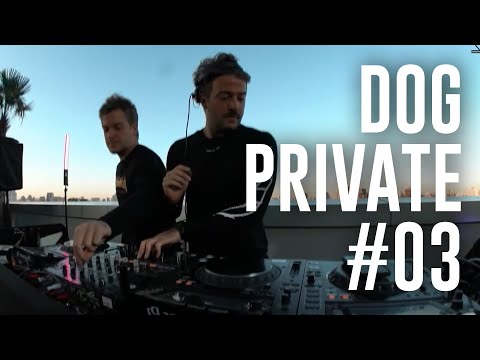 Dubdogz DOGPRIVATE #03 - Sutton, São Paulo - SP)