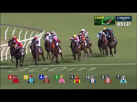 20/10/2021 (104) Alloy King- A Hamelin