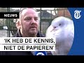 Vogelhospitaal moet dicht: ‘Controle was heel strikt’