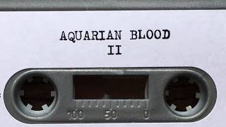 AQUARIAN BLOOD: No Vacancy (From their 2015 cassette-only release "II")
