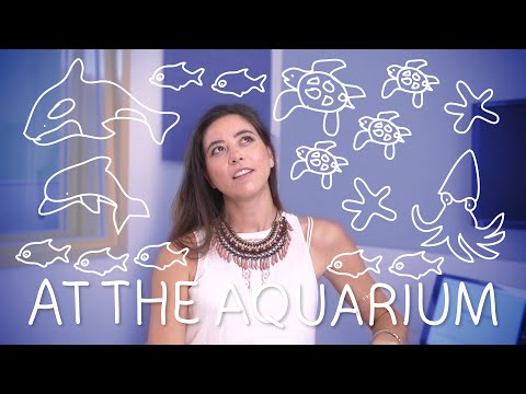 Learn The Most Useful Words in German