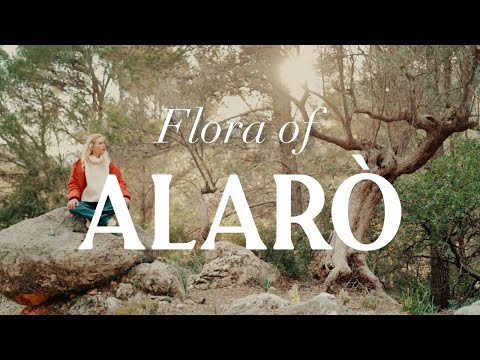 The amazing flora of Alarò in Mallorca ✨