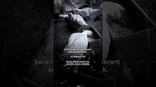 Download lagu #ibnualfiah#quotes mp3 Download lagu #ibnualfiah#quotes mp3