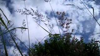 V'là l'bon vent (Traditional)