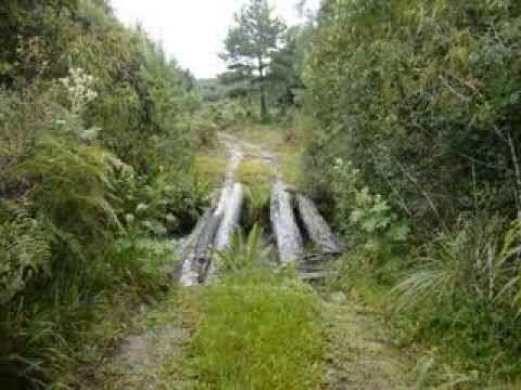 Imagens do levantamento rally transcatarina 2010