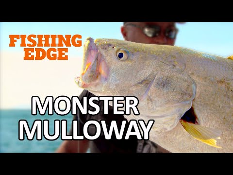 Fishing Edge episode - Monster Mulloway