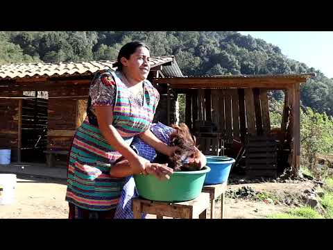 ENGINEER 👷‍♂️FALLS IN LOVE WITH AN ILLITERATE PEASANT GIRL?