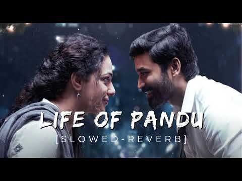 Life of pandu [slowed-reverb]-thiru | danush