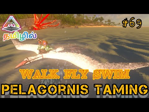 How To Tame Pelagornis/Walk Fly Swim Pelagornis/Ark Survival Evolved Gameplay In Tamil/Part#69 [CRG]