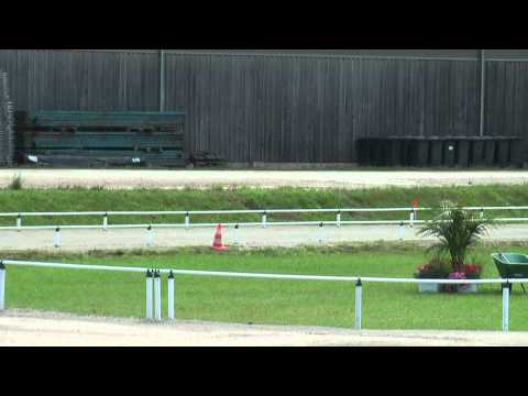 Njalla von Semriach Lind, WK11