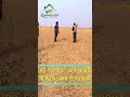 Dholera Main Rs 50K Vigha Jamin Abhi 55 Lakh Per Vigha