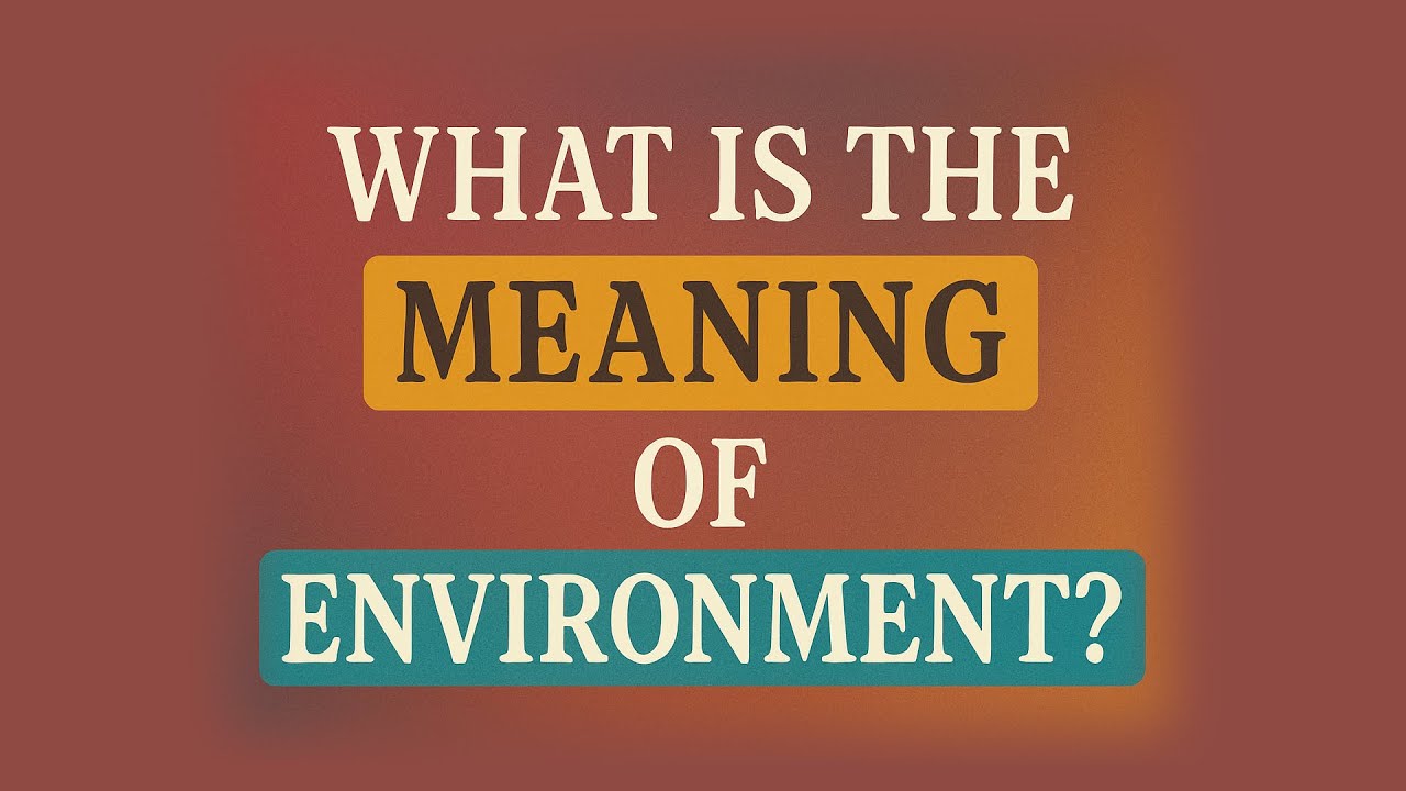 What is the meaning of Environment?