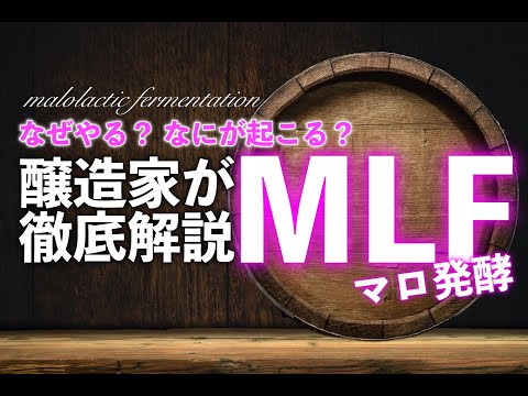 ニェグイについて詳しく解説