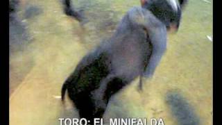 preview picture of video 'TORO EL MINIFALDA GANADERIA RIO ZAPOTE'