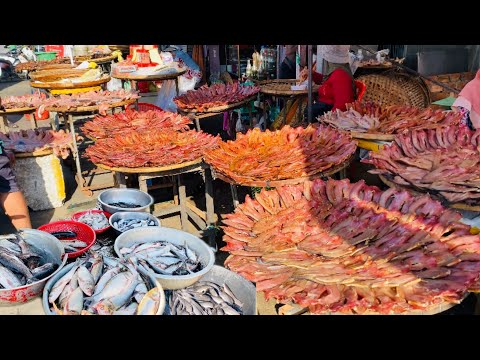 Busiest Wholesale Fish Market - Site Distribution Lively Fish, Seafood - Cambodian Fish Market