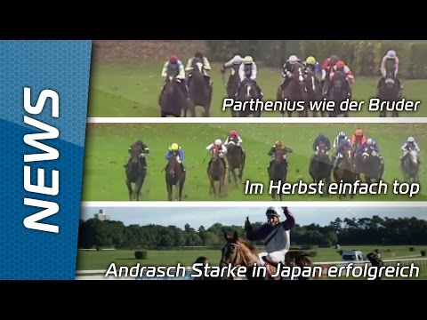 Sport-Welt TV News | 09.11.15 | "Andrasch Starke in Japan erfolgreich"