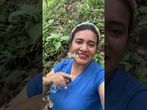 Turismo en el Carmen de chucuri Santander Colombia
