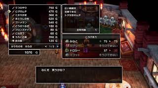 発売日だし勇者になってみるわ