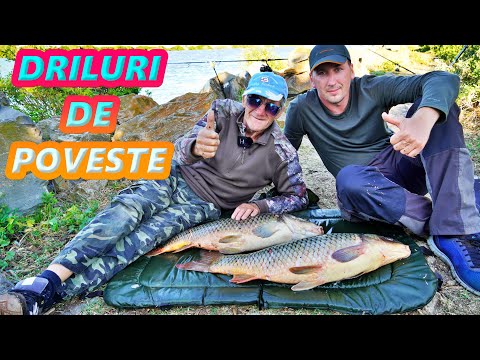 36H PESCUIT LA CRAP ÎN DELTA DUNĂRII CU BOILIES