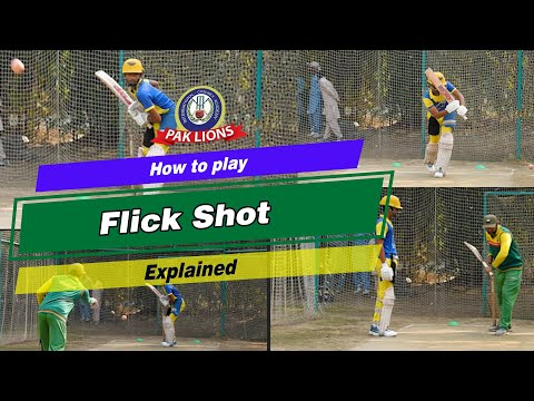 how to play "Flick shot" ? | Explained #paklions #flickshot
