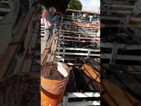 DE FRENTE AL CAMPO junto a BRANDEMANN CONSIGANTARIA SRL- LINIERS 2017