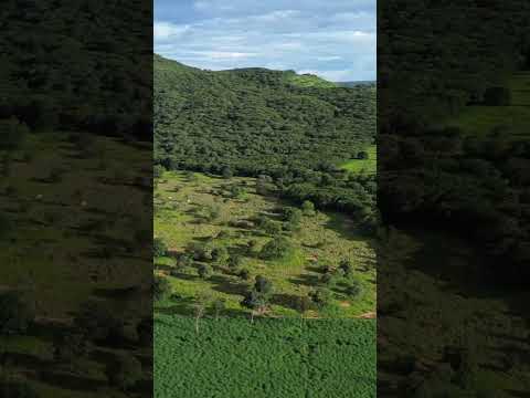 Serra do morro de sairá de Angical Bahia