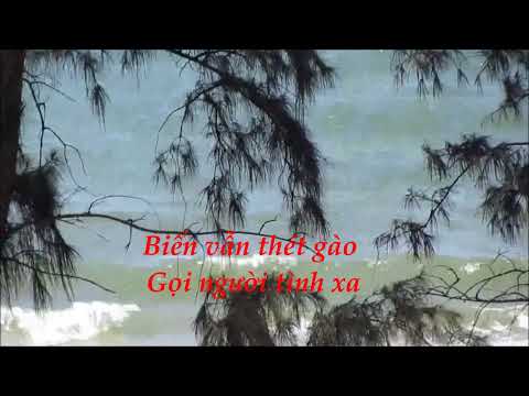 Biển thiên thu gọi Sheet - Quang Minh