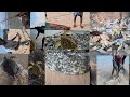 Fishing With A Net In The Sea Fishing Fish Fishing Video