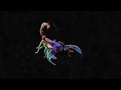 Escorpión (Audio) - D3NDRON
