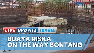 Buaya Riska bakal Pulang ke Bontang, Kandang Pakai Material Kayu Ulin Sudah Hampir Rampung