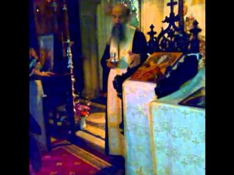 Parintele Irineu Curtescu - Un cuvant de folos