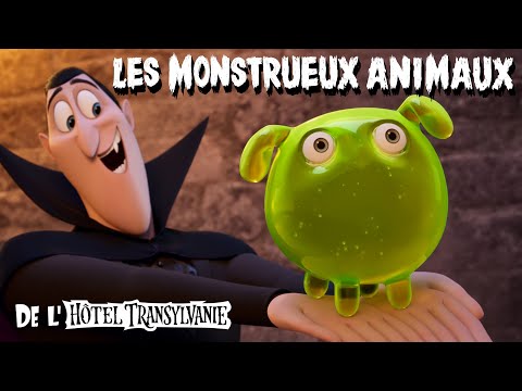Les monstrueux animaux de l'Hôtel Transylvanie - Court-métrage [VF]