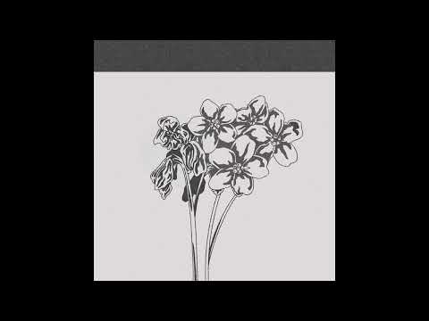 Sonya - Forget Me Not(s) [audio]