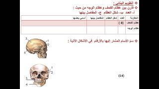 كورس #تاسع دروس علم أحياء