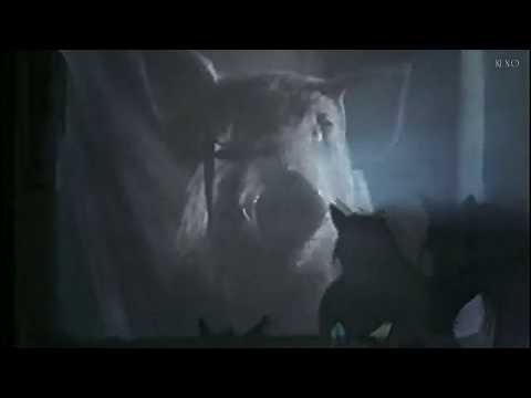 WAFFENRUHE - DEMAGOGIE II