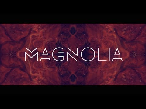 Vault 51 - Magnolia