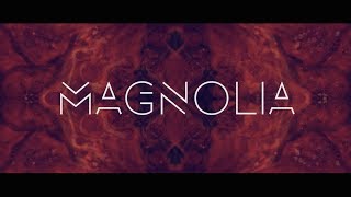 Vault 51 - Magnolia