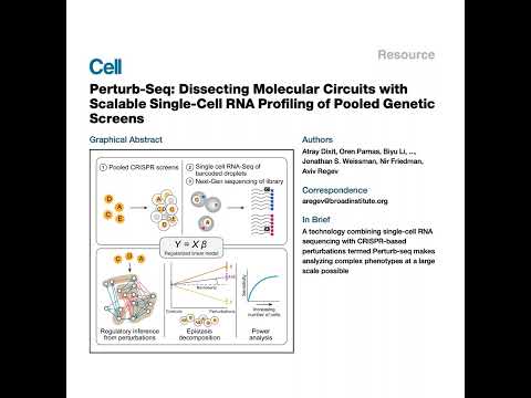290-Perturb-Seq: Single-Cell Profiling of Genetic Screens