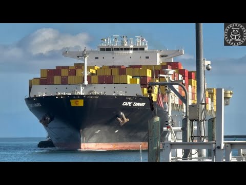 26 MINUTES OF MARINE TRAFFIC AT LOS ANGELES PORT - 4K SHIPSPOTTING FEBRUARY 2025