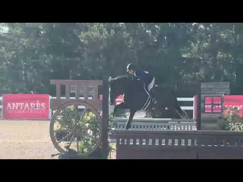 Dalmore video 2