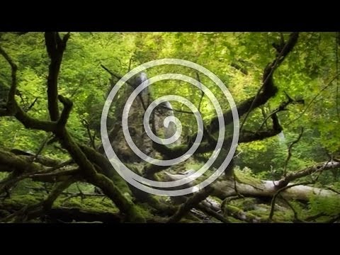 Erdenklang - Ambiente, Harmonie, Lounge & Gitarren Musik